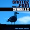 Seagulls (Santoz Original Mix) - PDM & Santoz lyrics