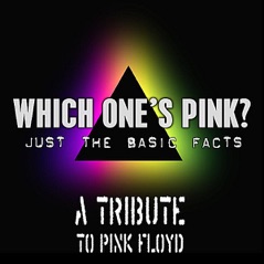 Pink Floyd Tribute: Just the Basic Facts