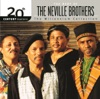 20th Century Masters - The Millennium Collection: The Best of the Neville Brothers artwork