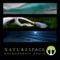 EO Avian Sanctuary At Dawn - Naturespace Holographic Audio lyrics