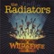 One-Eyed Jack - The Radiators lyrics