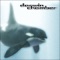 3D Environment Series Sampler (Headphone Mix) - Darwin Chamber lyrics
