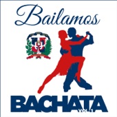 Bailamos Bachata, Vol. 1 artwork