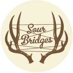 Workin' On Leavin' by Sour Bridges album reviews, ratings, credits