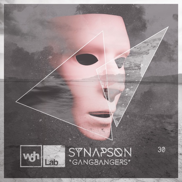 Woh Lab 30 Gangbangers - Single - Synapson