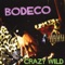 Hip Shake (Slim Harpo) - Bodeco lyrics