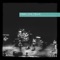 Live Trax Vol. 17: Shoreline Amphitheatre