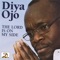 Eni Ri Nkan He {ju-jaz} Instrumental - Diya Ojo lyrics