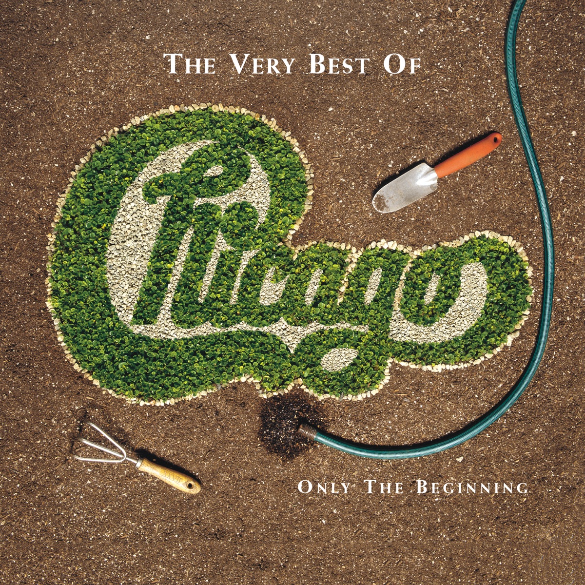 cd chicago