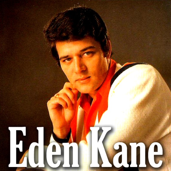 Cover artwork for Forget Me Not