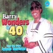 Barry Wonders @ 40 artwork