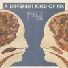 A Different Kind of Fix artwork