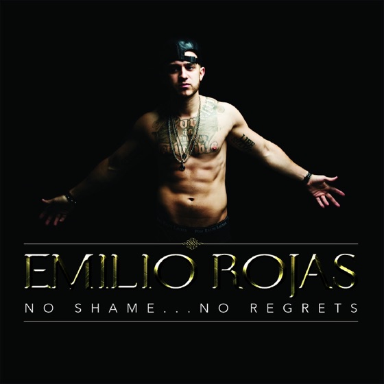 Cover artwork for Shameless