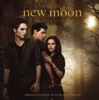 The Twilight Saga: New Moon (Deluxe Version) [Original Motion Picture Soundtrack] artwork