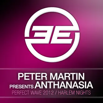 Perfect Wave 2012 (Ambient Mix) by Peter Martin & Anthanasia song reviws