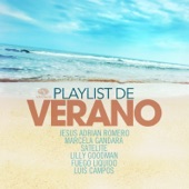 Playlist de Verano artwork