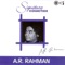 Tanha Tanha (From ''Rangeela'') - A. R. Rahman & Asha Bhosle lyrics