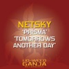 Netsky - Prisma