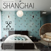 Exclusive Luxury Hotel Shanghai - Suite n°40: Contemplative Asian Lounge and Sensual Acoustic Chill artwork