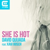 She Is Hot (Radio Edit) [feat. Xavi Bosch] artwork