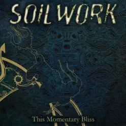 This Momentary Bliss - Single - Soilwork