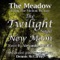 The Meadow - From ''the Twilight Saga: New Moon'' (Alexandre Desplat) artwork