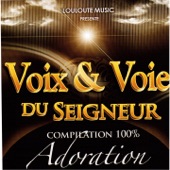 Voix & voie du seigneur, vol. 3 (Compilation 100% Adoration) artwork