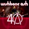 Almighty Blues (feat. Ben Granfelt) - Wishbone Ash lyrics