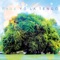 Cornelia and Jane - Yo La Tengo lyrics