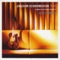 While She Sleeps - Joachim Schoenecker Trio & Minguet String Quartet lyrics