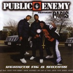 Public Enemy featuring Paris - Rebirth of a Nation