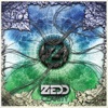 zedd - codec