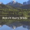 Lost In Heartache - Harry White lyrics