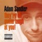 The Buffoon and the Valedictorian - Adam Sandler lyrics