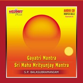 Gayatri / Sri Maha Mrityunjay Mantra (Divine Chants ) artwork