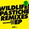 DNO (Piri Piri Remix) [feat. Branko] - Wildlife lyrics