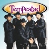 Tempestad - 500 Novillos