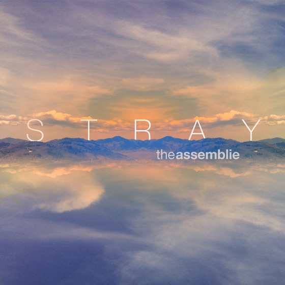 Cover artwork for Stray