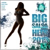 Big Salsa Hits 2013, 2013