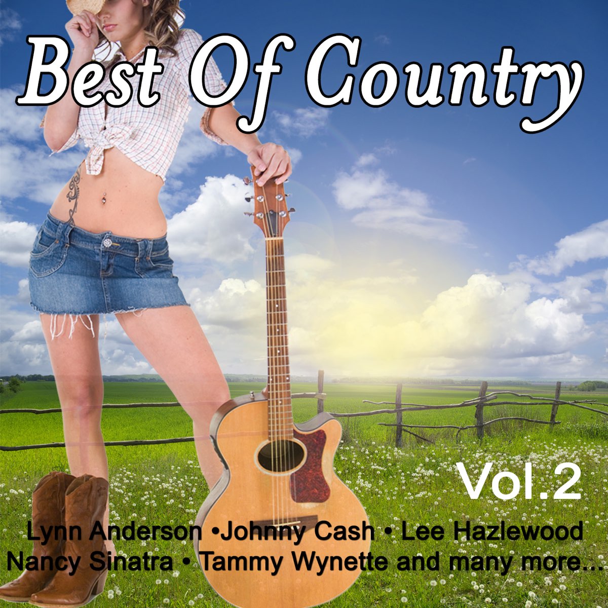 ‎Best Of Country Vol. 2 By Various Artists On Apple Music