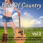 Best of Country Vol. 2 artwork