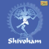 Shiva Shadakshar Stotra artwork