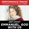 Emmanuel, God With Us (Performance Tracks) - EP, 2009