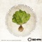 Cesar Salad (Niko Jimenez Remix) - A.Lamet lyrics