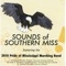 Ain't Nothin' Wrong With That - Pride of Mississippi Marching Band, Mohamad Schuman, Dr. James E. Standland & Dr. Thomas V. Fraschil lyrics