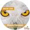 Snow Owl (Rino Cerrone & Flavio Diaz Remix) - Stanny Franssen lyrics