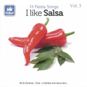 I Like Salsa, Vol. 3 artwork