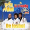 De losbol (The Cooldown Remix) [feat. DJ Franky] - Van Adel lyrics
