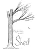 Shed album lyrics, reviews, download