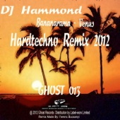 Venus (DJ Hammond Hardtechno Remix 2012) artwork